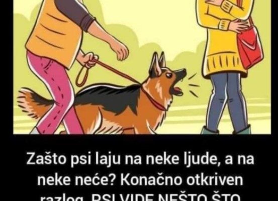 Zašto psi laju na neke ljude, a na neke neće? Konačno otkriven razlog, PSI VIDE NEŠTO ŠTO LJUDI NE MOGU