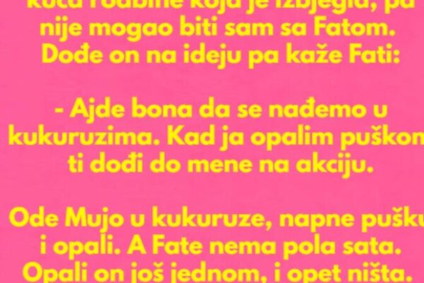 Za vrijeme rata, Muji bila puna kuća rodbine koja je