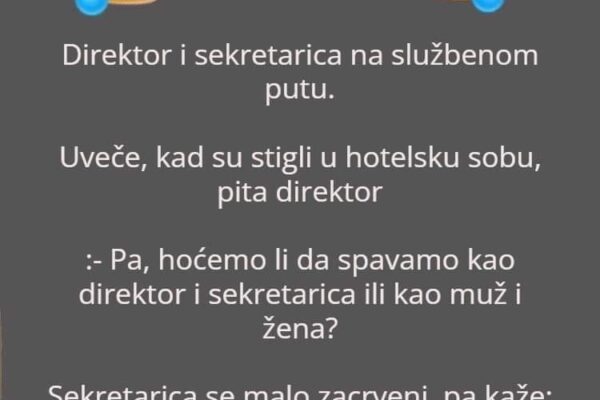 VIC DANA: Sekretarica