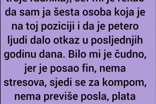 ‘Kada sam se zaposlila u jednoj maloj firmi’