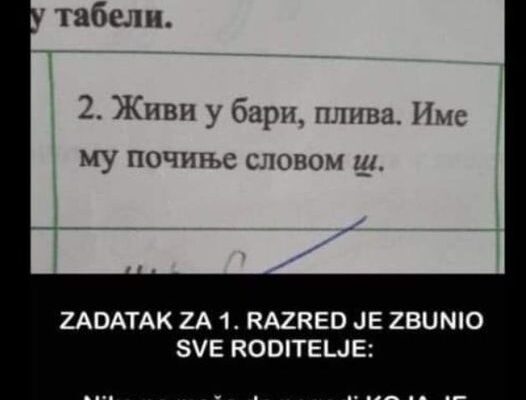 ZADATAK ZA 1. RAZRED JE ZBUNIO SVE RODITELJE: Niko ne može da pogodi KOJA JE ŽIVOTINJA U PITANJU, pogledajte šta je dijete odgovorilo