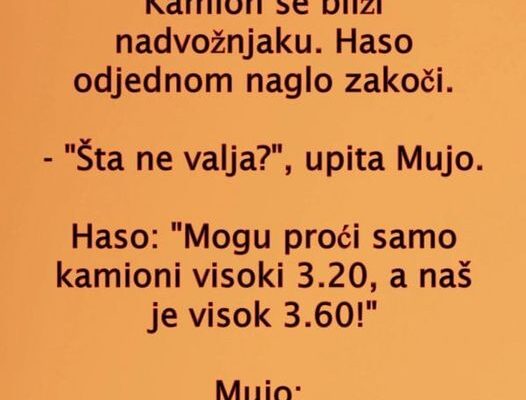 VIC: Mujo i Haso kamiondžije