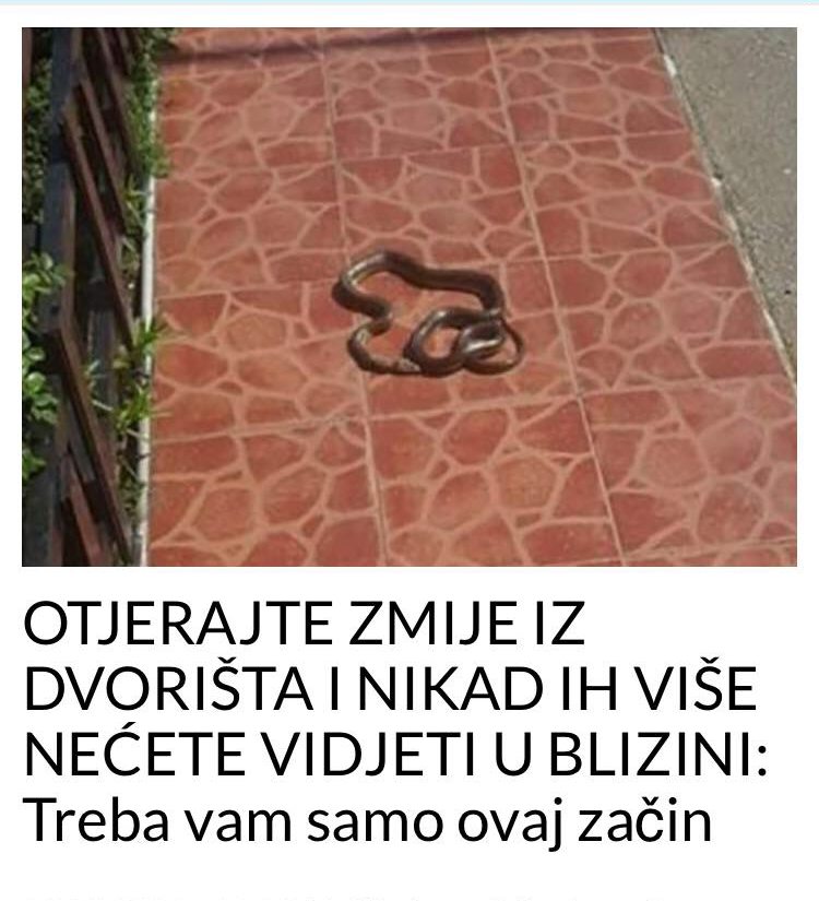 OTJERAJTE ZMIJE IZ DVORIŠTA I NIKAD IH VIŠE NEĆETE VIDJETI U BLIZINI: Treba vam samo ovaj začin