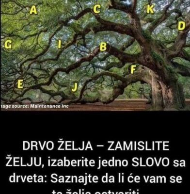 DRVO ŽELJA – ZAMISLITE ŽELJU, Izaberite Jedno SLOVO Sa Drveta: Saznajte Da Li Će Vam Se Ta Želja Ostvariti