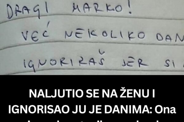 NALJUTIO SE NA ŽENU I IGNORISAO JU JE DANIMA: Ona Mu Je Onda Ostavila Poruku Zbog Koje Bi Joj Odmah Mogao Sve Oprostiti, OVO JE HIT