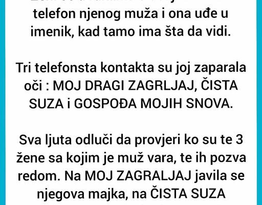 URNEBESAN VIC KOJI ĆE NASMIJATI I NAJMRZOVOLJNIJE: Žena uzela mužu TELEFON, i vidjela…