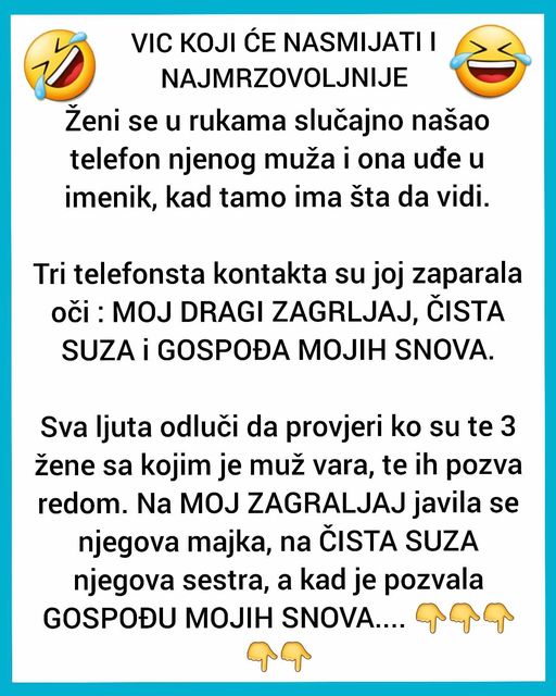 URNEBESAN VIC KOJI ĆE NASMIJATI I NAJMRZOVOLJNIJE: Žena uzela mužu TELEFON, i vidjela…