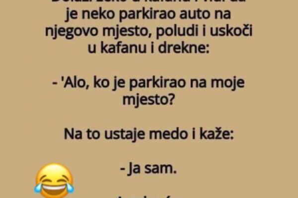 Vic dana: Zeko i parking