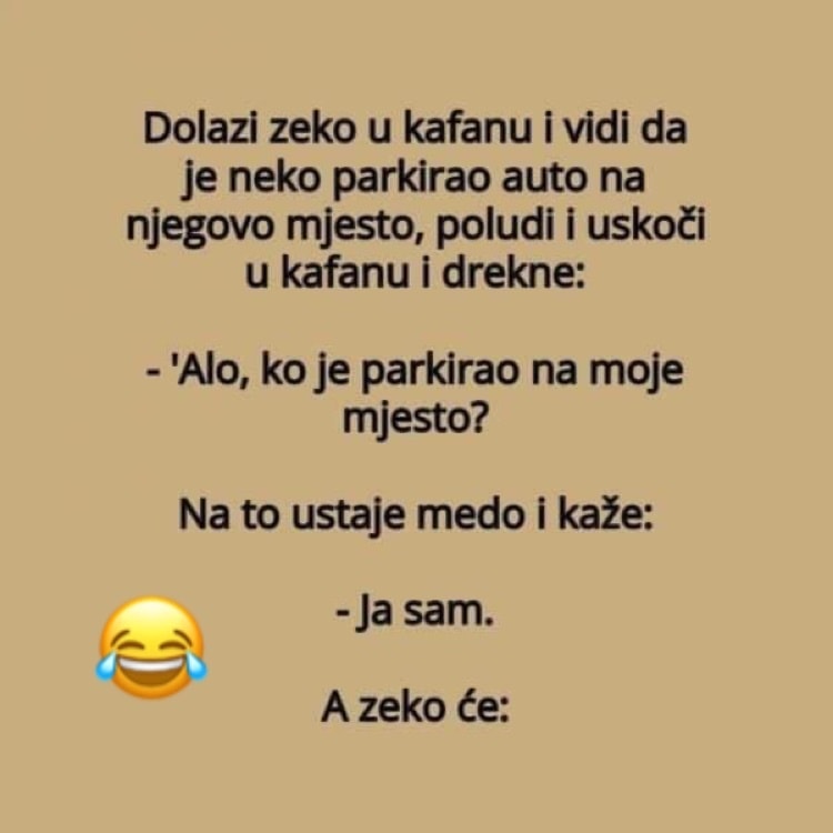 Vic dana: Zeko i parking