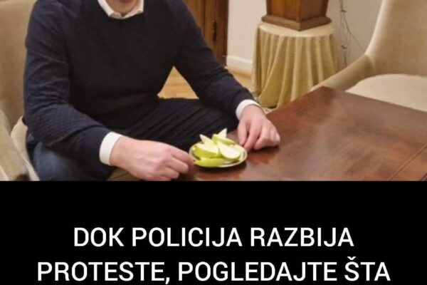 DOK POLICIJA RAZBIJA PROTESTE, POGLEDAJTE ŠTA RADI VUČIĆ: Objavio sliku iz kancelarije