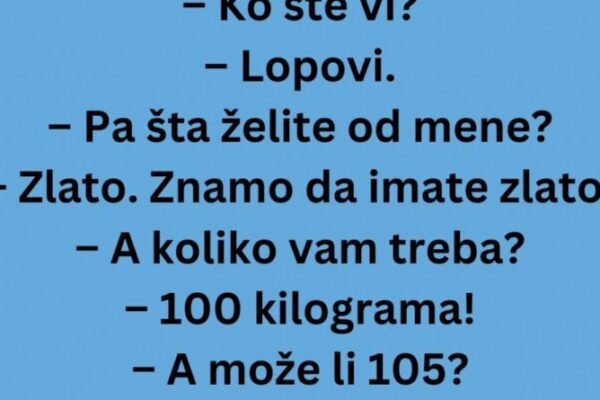 VIC: Lopovi