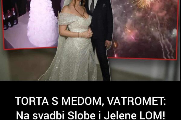 TORTA S MEDOM, VATROMET: Na svadbi Slobe i Jelene LOM! JELENA OPET TRUDNA? A tek Slobina reakcija