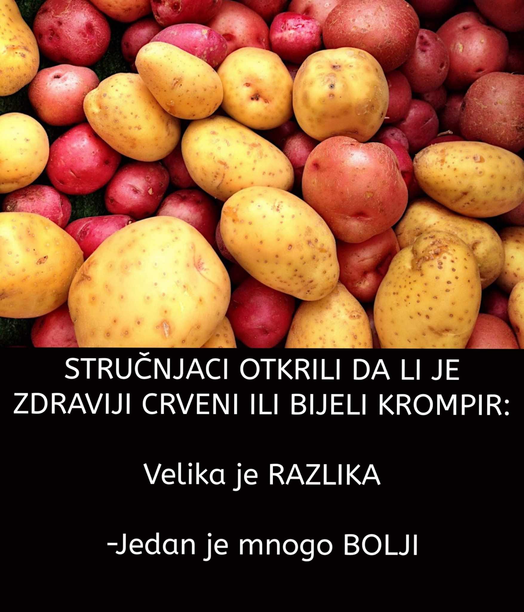 STRUČNJACI OTKRILI DA LI JE ZDRAVIJI CRVENI ILI BIJELI KROMPIR Velika je RAZLIKA EU Media Group