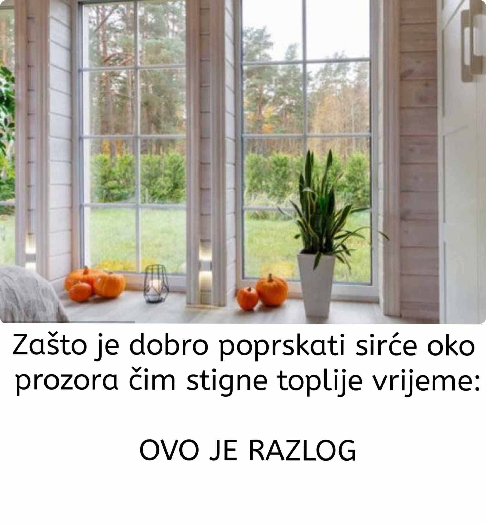 Zašto je dobro poprskati sirće oko prozora čim stigne toplije vrijeme: OVO JE RAZLOG