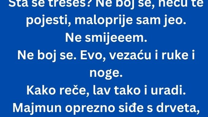 Sretne lav majmuna i reče mu: Siđi sa drveta da se igramo.